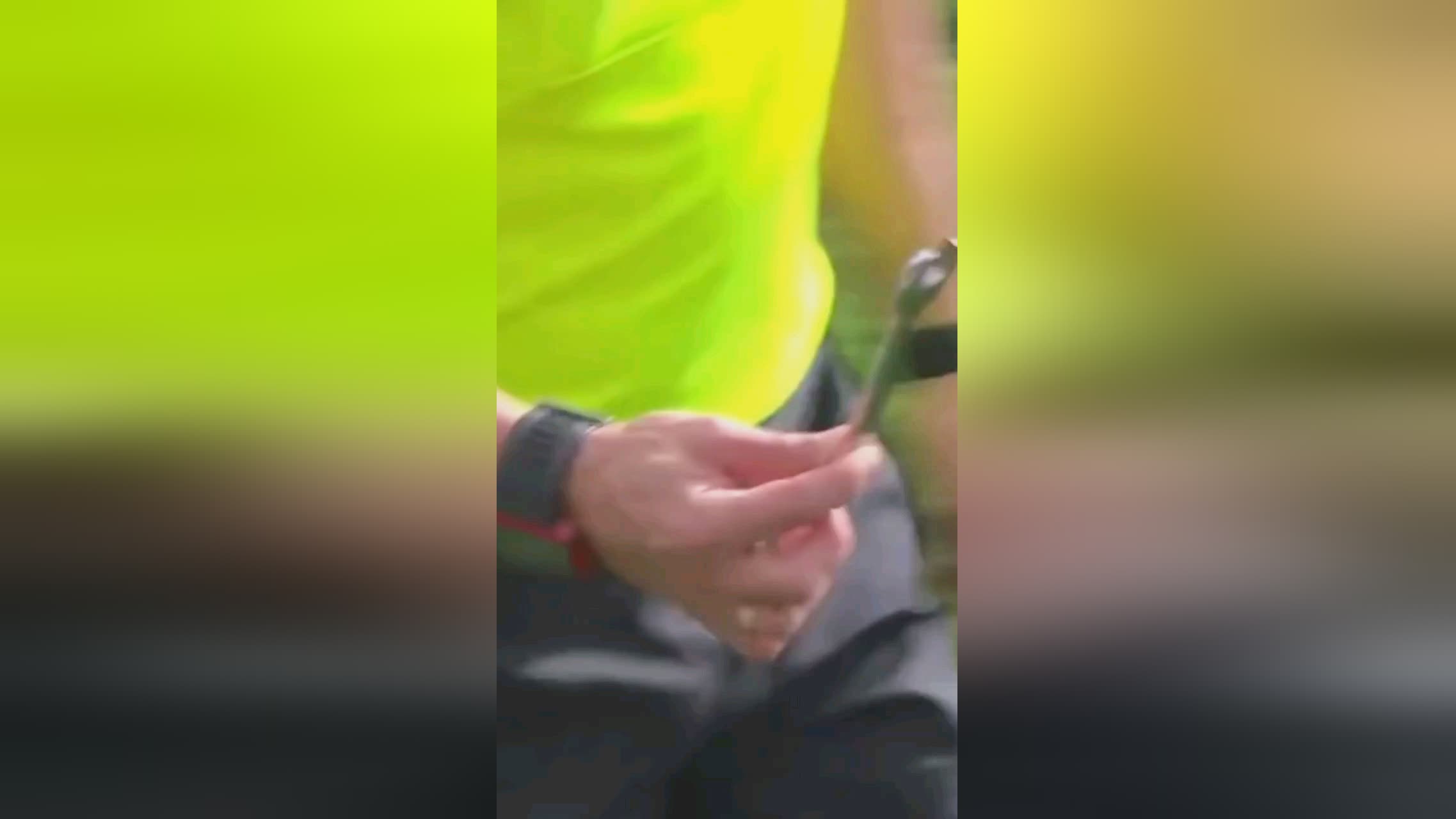 仅体现